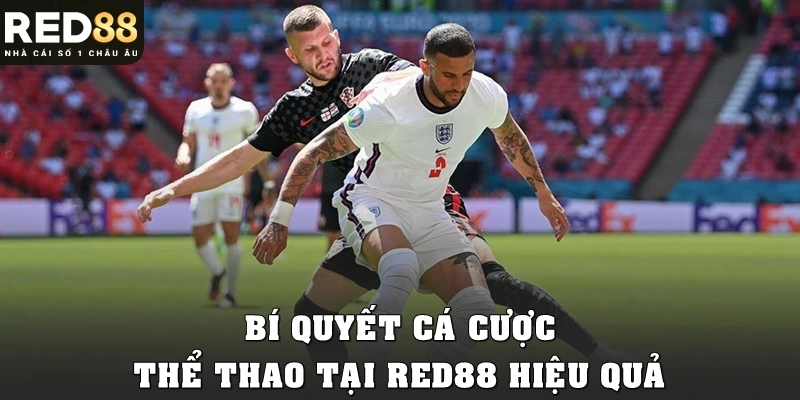 Bí quyết cá cược thể thao tại Red88 hiệu quả