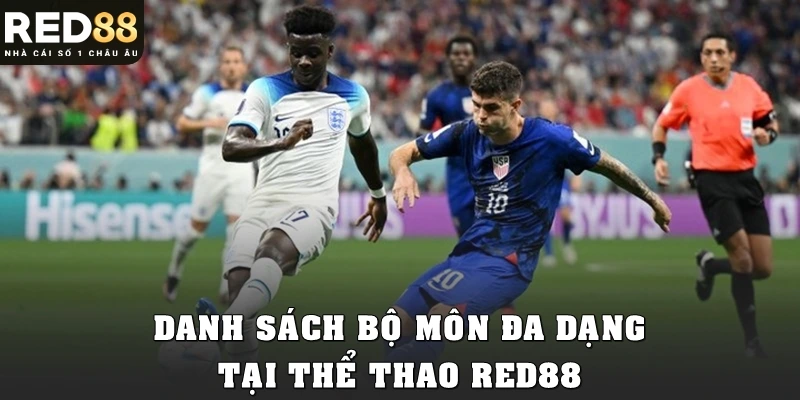 Danh sách bộ môn đa dạng tại thể thao Red88