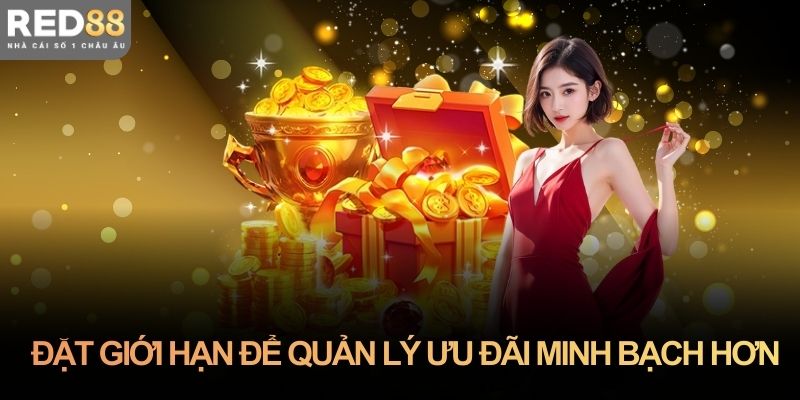 Đặt giới hạn để quản lý ưu đãi minh bạch hơn