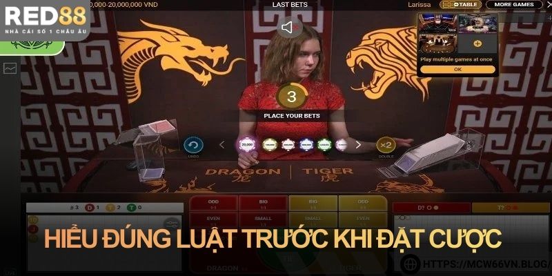 Hiểu đúng luật trước khi đặt cược ván đầu tiên