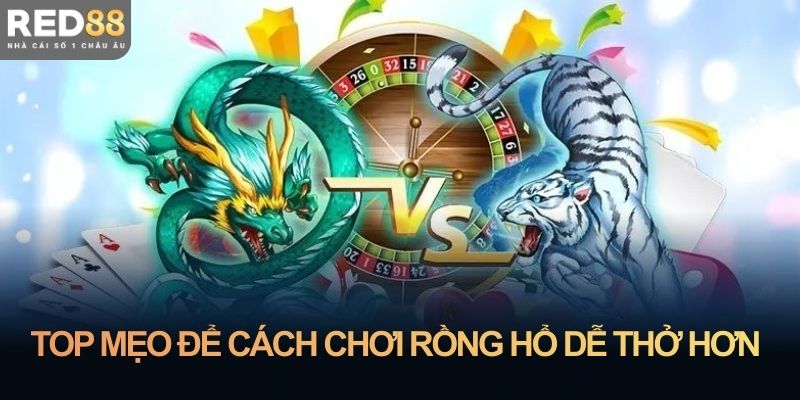 Top mẹo để cách chơi Rồng hổ dễ thở hơn